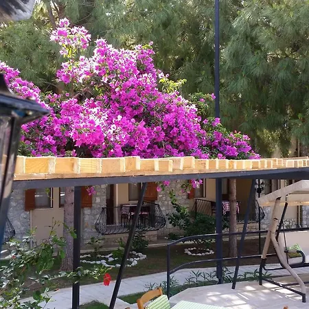 Selimhan - 3*