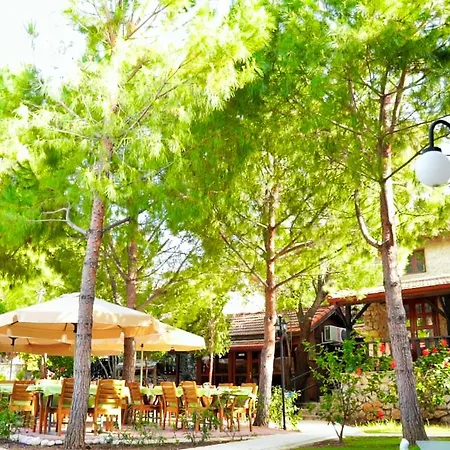 Selimhan - 3*