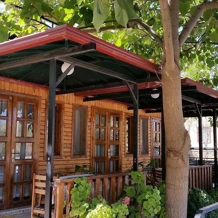 Selimhan - 3*